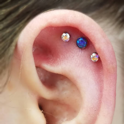 Explore goose tattoo ideas, creative tattoo ideas in Hendersonville, available at Red Nova Studio