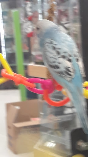 Pet Supply Store «Petco Animal Supplies», reviews and photos, 2140 E Blvd St, Kokomo, IN 46902, USA