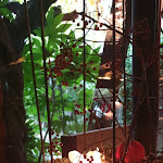 Photo n°7 de l'avis de angela.a fait le 03/11/2019 à 15:23 sur le  Le Calandrine à Cimadolmo