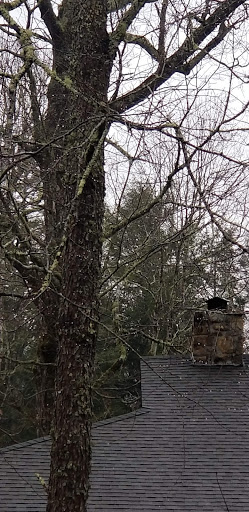 Golf Club «Linville Land Harbor Golf Club», reviews and photos, 1665 Goose Hollow Rd, Linville, NC 28646, USA