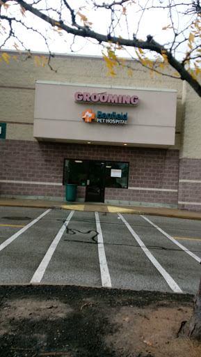 Pet Supply Store «PetSmart», reviews and photos, 36395 Euclid Ave, Willoughby, OH 44094, USA