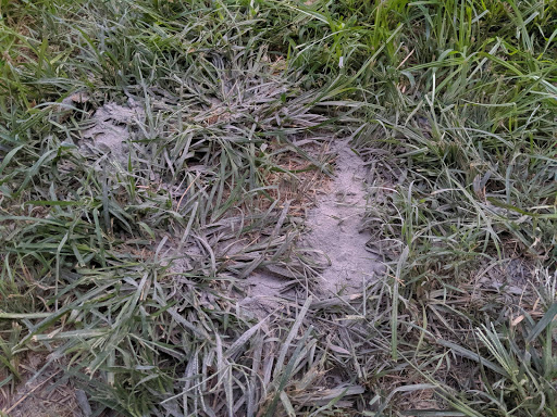 Waterproofing Company «Woods Basement Systems, Inc.», reviews and photos