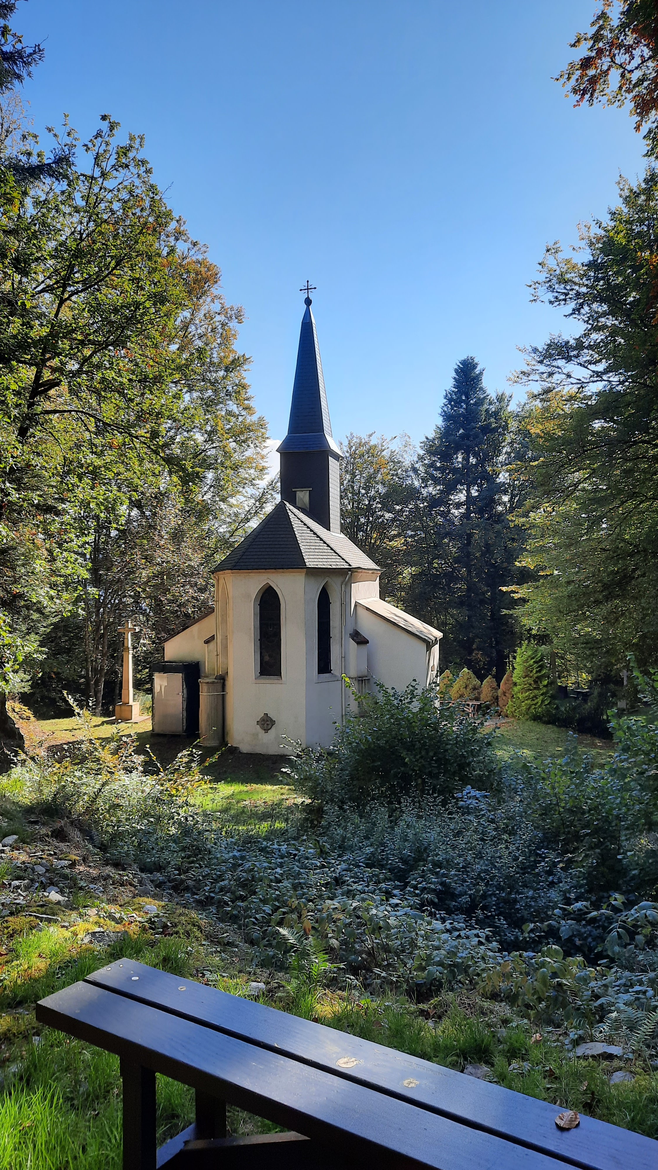 Photo n° 2 de l'avis de Steve.e fait le 17/10/2021 à 21:29