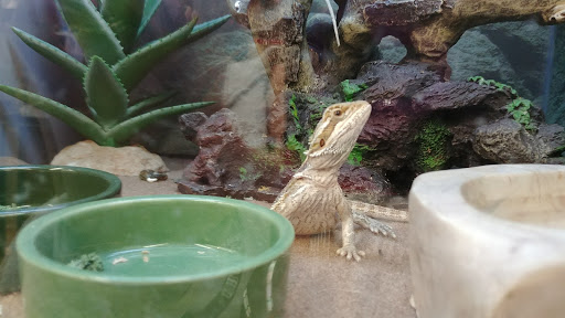 Pet Supply Store «Petco Animal Supplies», reviews and photos, 551 W Hampden Ave, Englewood, CO 80110, USA