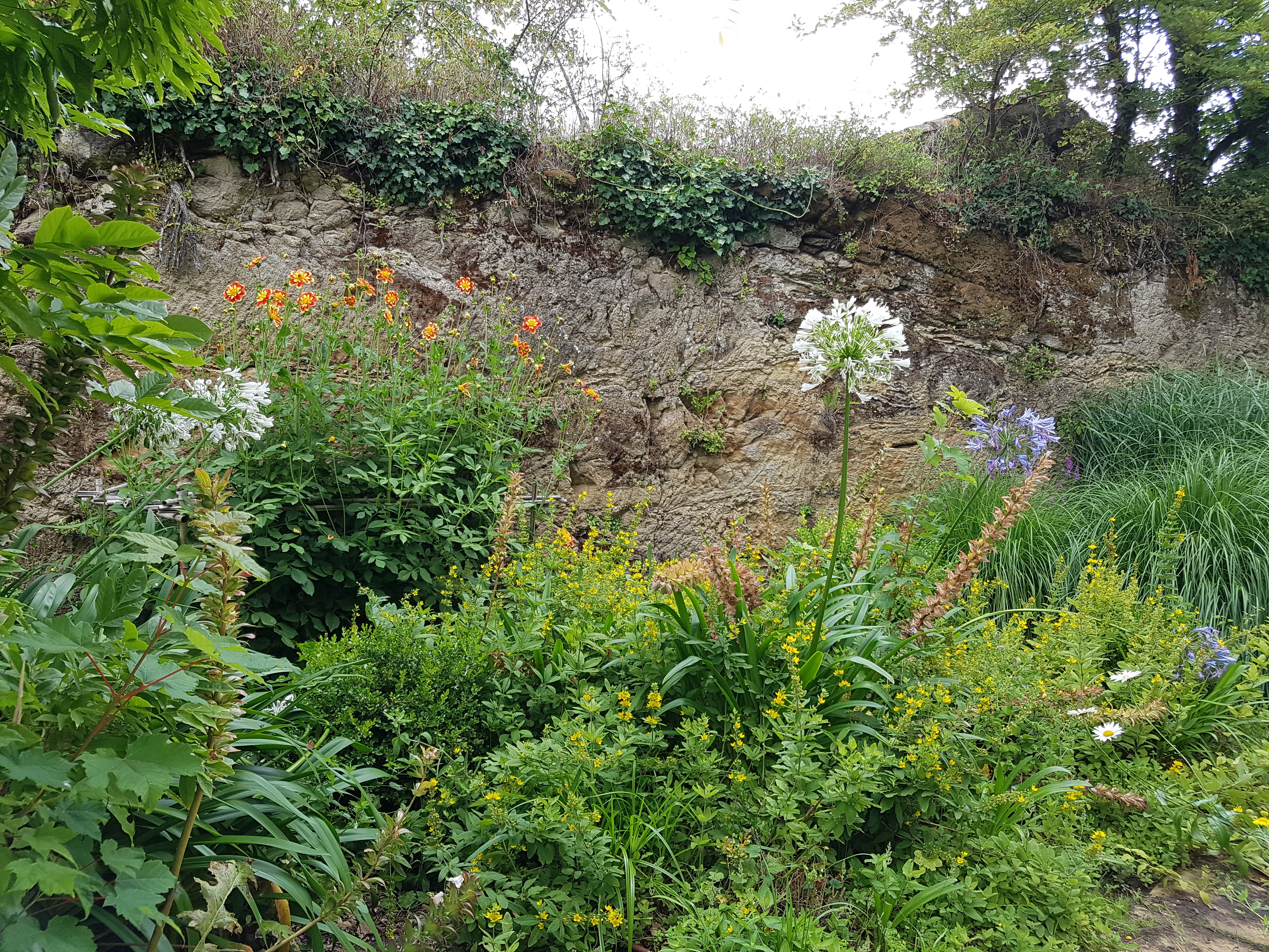 Photo n° 1 de l'avis de Hajer.a fait le 25/07/2020 à 12:52