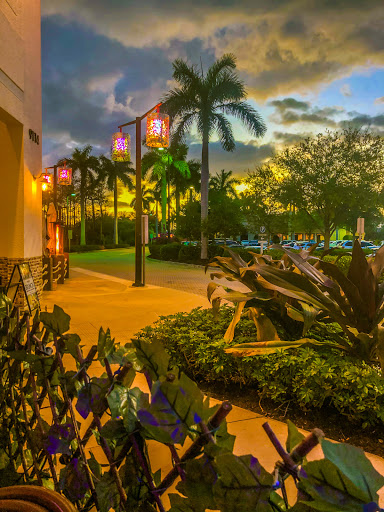 Lounge «Blue Martini Lounge», reviews and photos, 9114 Strada Pl #12105, Naples, FL 34108, USA