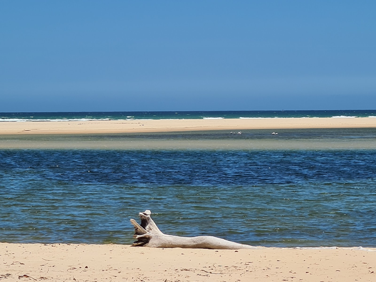 Macachula Beach photo #7
