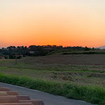 Photo n°3 de l'avis de Giovanna.a fait le 09/07/2023 à 18:34 sur le  Rosita - Galletto e Birra Besana Brianza à Besana in Brianza
