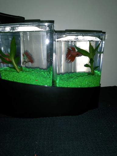 Pet Supply Store «PetSmart», reviews and photos, 1700 Norman Dr #200, Valdosta, GA 31601, USA