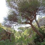 Photo n° 13 de l'avis de Corinne.o fait le 08/09/2022 à 15:42 pour Parc national des Calanques à Marseille