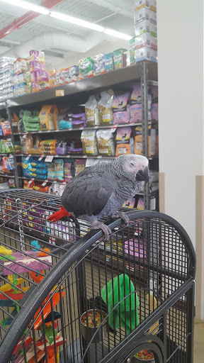 Pet Supply Store «Pet Supplies Plus», reviews and photos, 135-25 79th St, Howard Beach, NY 11414, USA