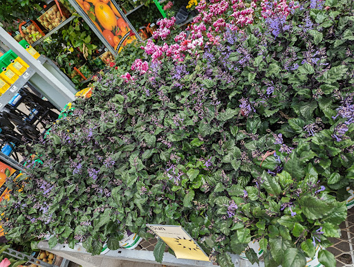 Home Improvement Store «The Home Depot», reviews and photos, 702 65th St, Galveston, TX 77551, USA