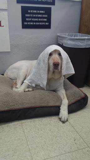 Pet Store «Pet Stop», reviews and photos, 6218 Nieman Rd, Shawnee, KS 66203, USA