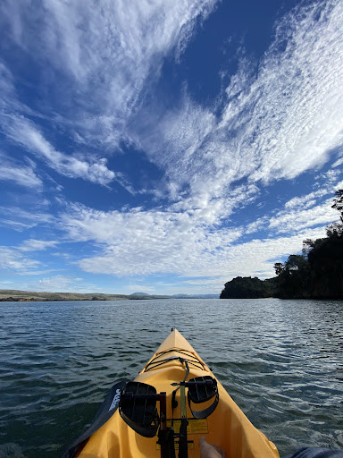 Tomales Bay Expeditions