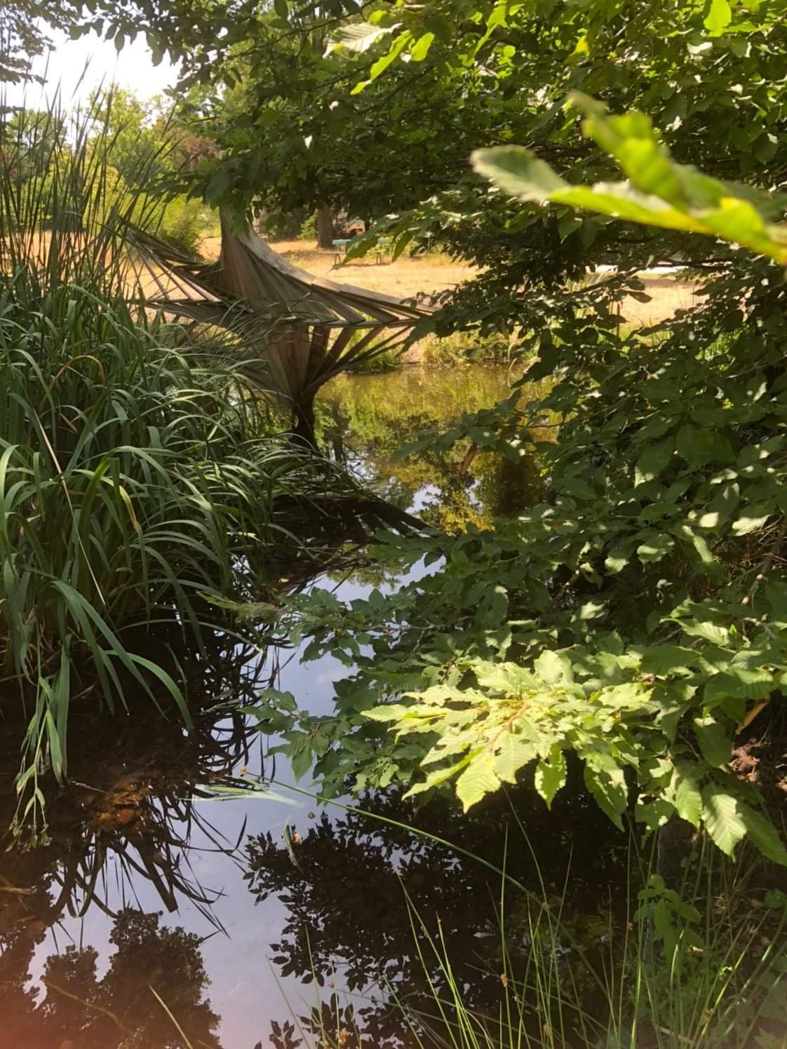 Photo n° 4 de l'avis de Ern. fait le 19/07/2022 à 17:49