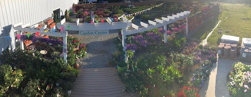 Supermarket «Best Value Supermarket», reviews and photos, 10748 Buckley Hall Rd, Mathews, VA 23109, USA