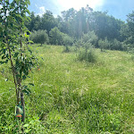 Photo n°3 de l'avis de Bjørn.l fait le 07/06/2023 à 16:01 sur le  Castello Di Ristonchi à Pelago