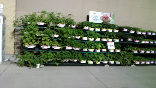 Supermarket «Walmart Neighborhood Market», reviews and photos, 1203 6th Ave SE, Decatur, AL 35601, USA