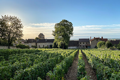Domaine François Buffet à Volnay
