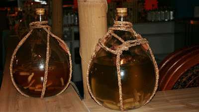 SHO'RHUM à Itxassou