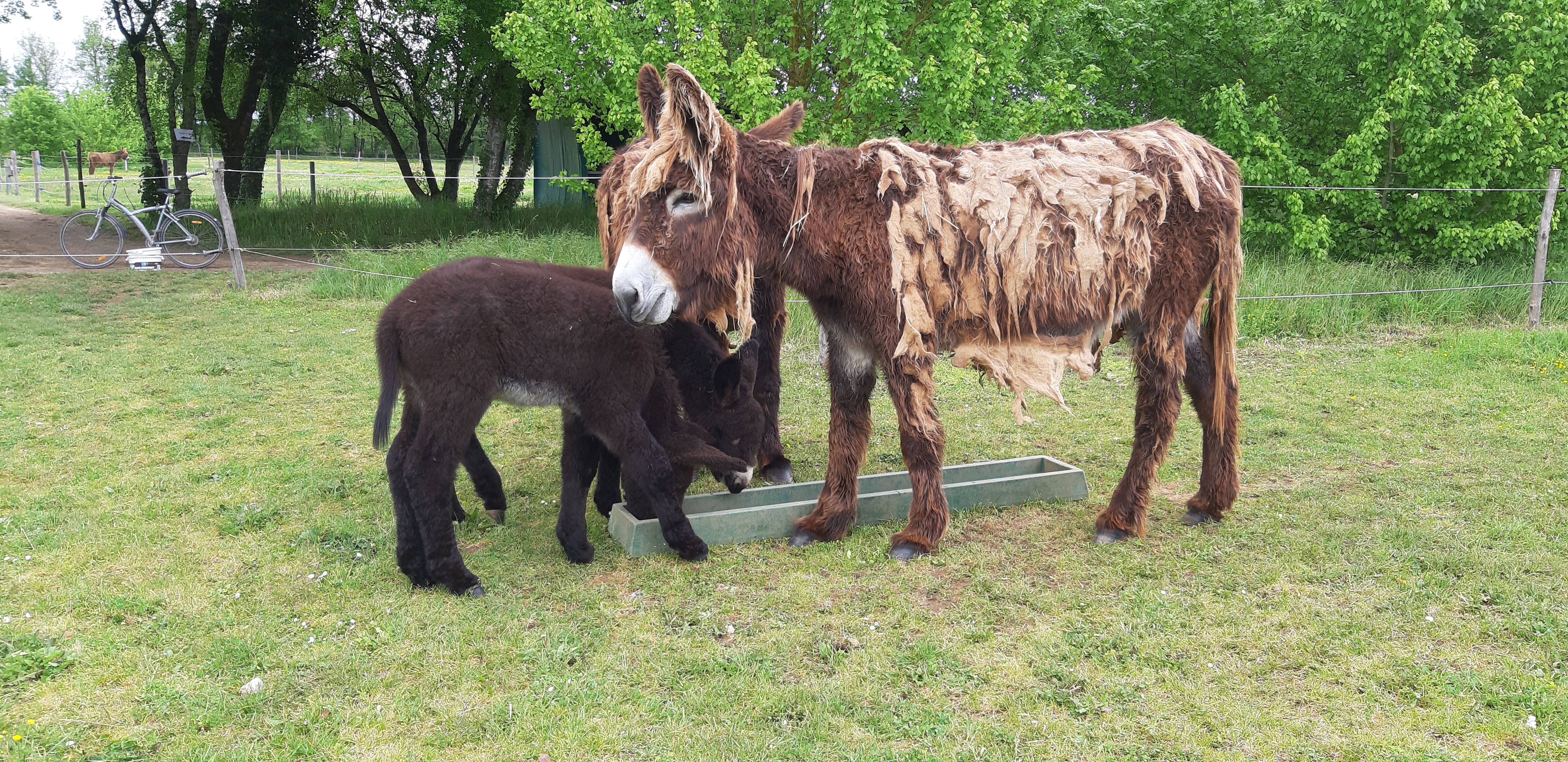 Photo n° 1 de l'avis de anne.h fait le 28/04/2019 à 19:20