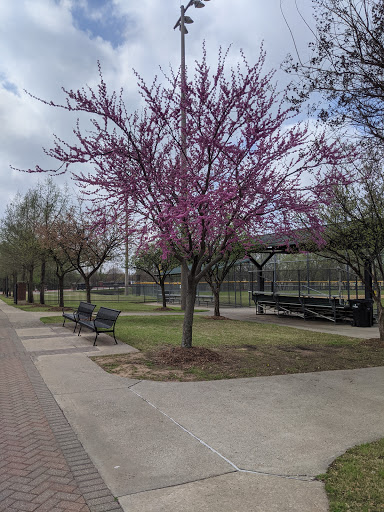 Park «Harold Bacchus Community Park», reviews and photos, 13995 Main St, Frisco, TX 75034, USA
