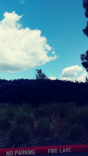 Community Center «SeaTac Community Center», reviews and photos, 13735 24th Ave S, SeaTac, WA 98168, USA