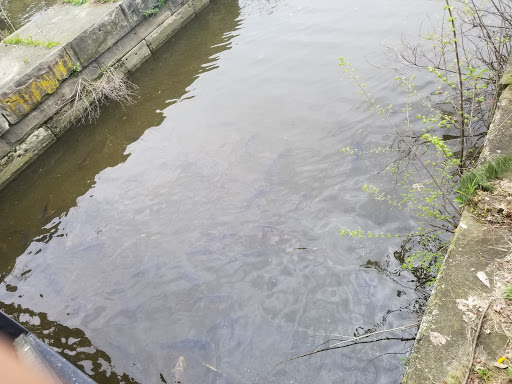 Park «Nature Center At Shaker Lakes», reviews and photos, 2600 S Park Blvd, Cleveland, OH 44120, USA