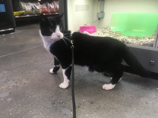 Pet Supply Store «Pet Supplies Plus», reviews and photos, 319 Massachusetts Ave, Lunenburg, MA 01462, USA