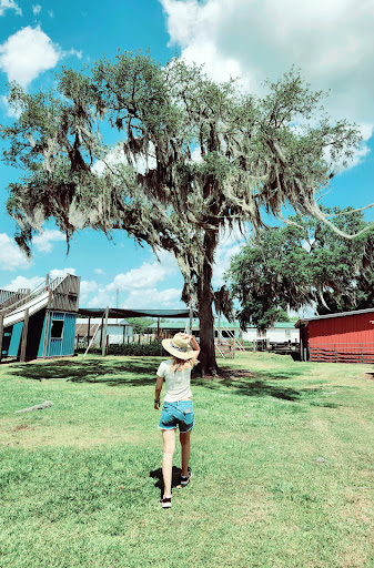 Amusement Center «Stanley Pond Adventure Farm», reviews and photos, 15426 County Rd 48, Astatula, FL 34705, USA