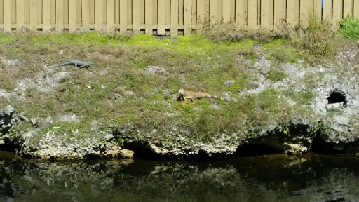 Country Club «Miccosukee Golf & Country Club», reviews and photos, 6401 Kendale Lakes Dr, Miami, FL 33183, USA