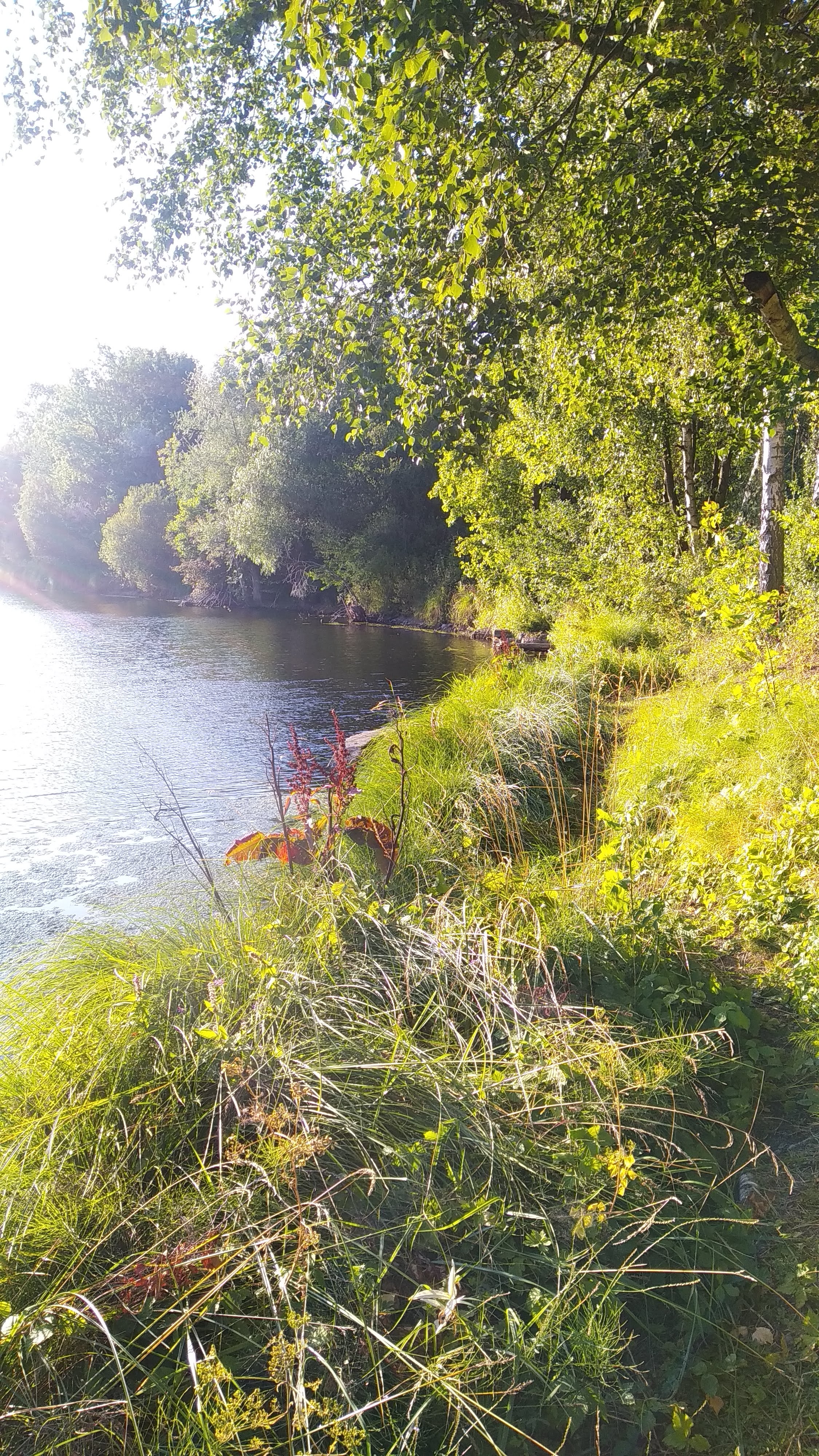 Photo n° 9 de l'avis de Philippe.a fait le 05/09/2019 à 14:39