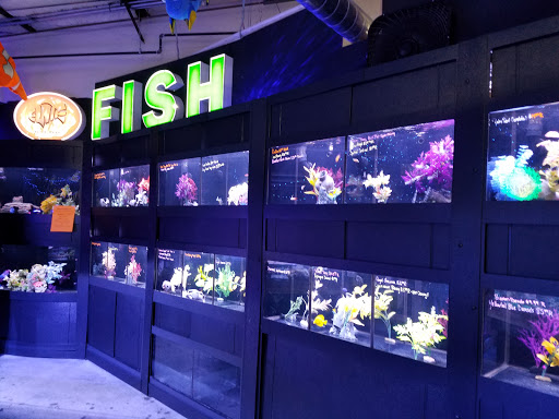 Tropical Fish Store «Elite Reef», reviews and photos, 8410 Wadsworth Blvd F, Arvada, CO 80003, USA