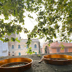 Photo n°5 de l'avis de dioniso80ita. fait le 06/07/2023 à 14:09 sur le  Cantina Ceccarelli à Frascati