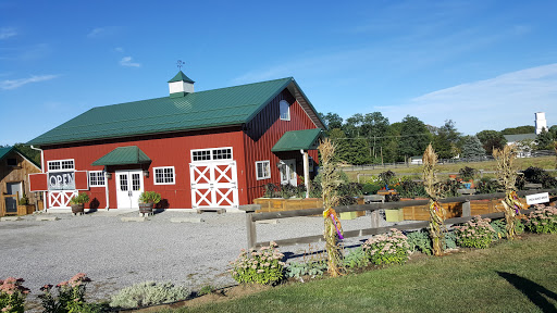Bakery «Renaissance Farm», reviews and photos, 278 Spielman Hwy, Burlington, CT 06013, USA