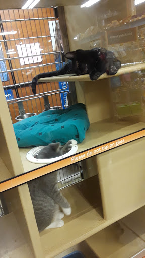 Shopping Mall «Hazleton Park Shopping Center», reviews and photos, 200 Weis Ln, West Hazleton, PA 18202, USA