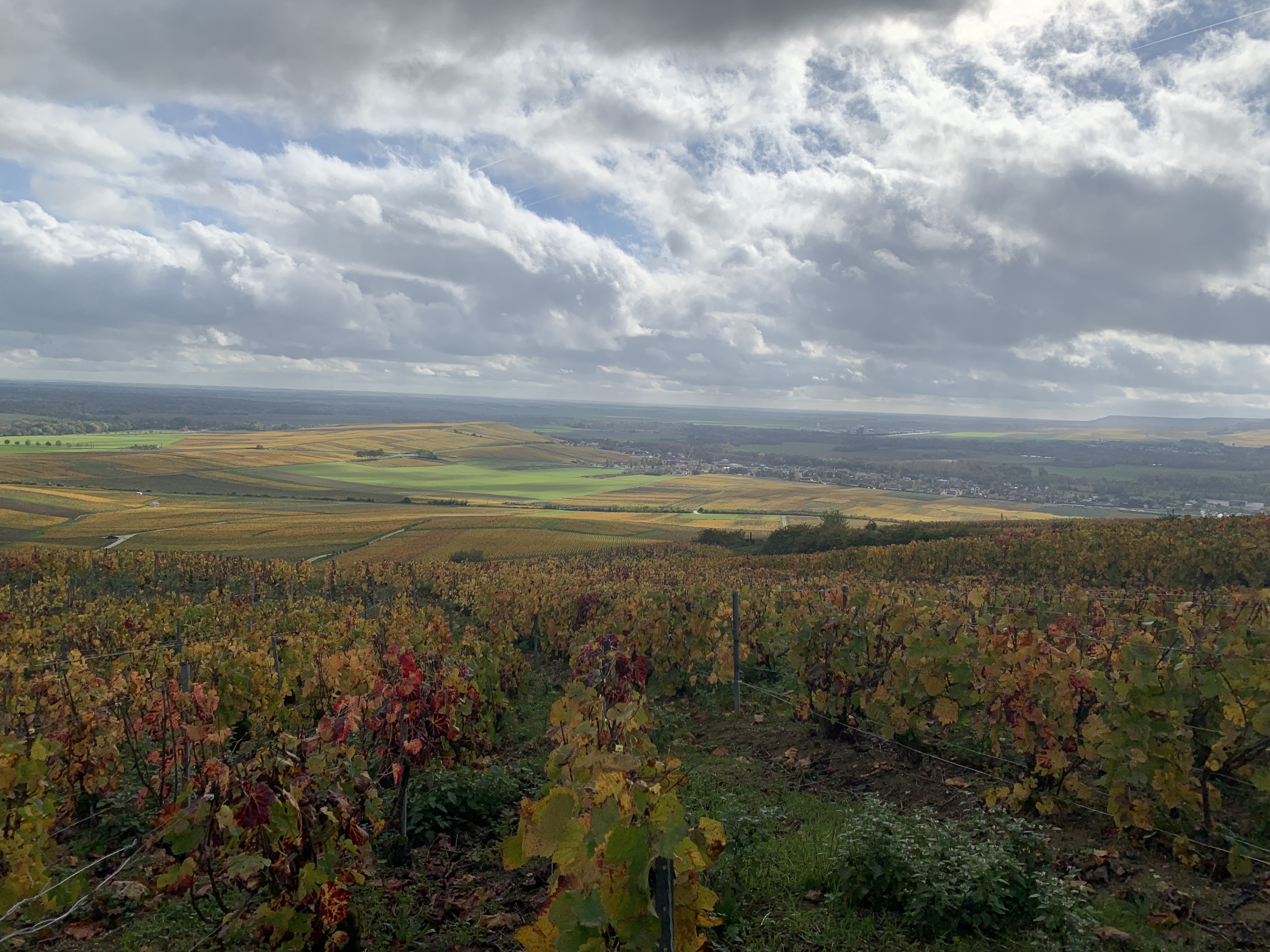 Photo n° 1 de l'avis de Jean-Wesley.i fait le 02/11/2022 à 23:23