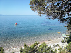 Cala Salto del Cervo'in fotoğrafı düz bir kıyı şeridi ile birlikte
