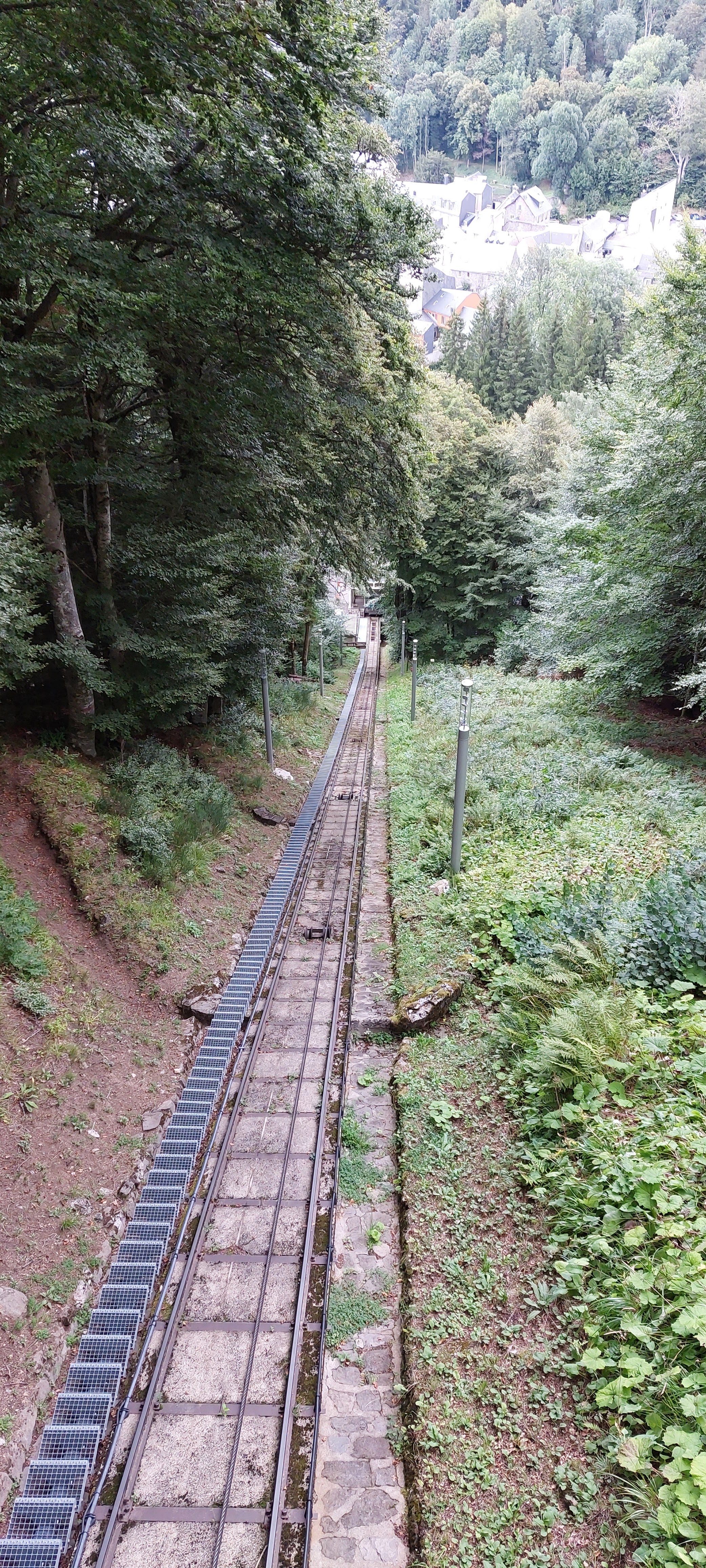 Photo n° 3 de l'avis de Moustique. fait le 29/08/2023 à 19:22