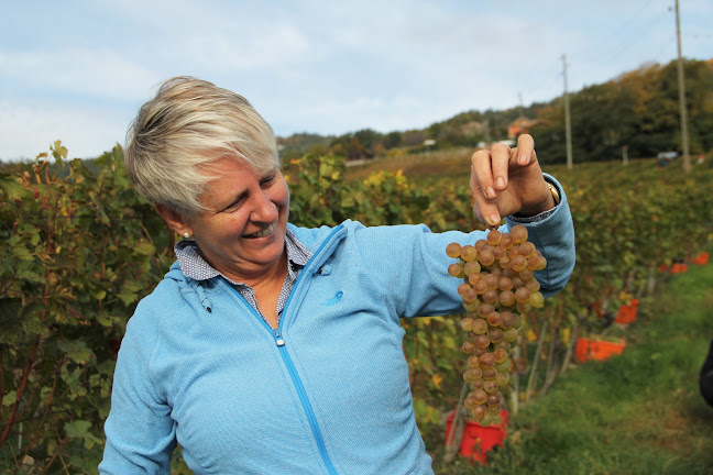 Kommentare und Rezensionen über Weingut Constantin GmbH