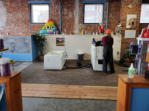 Pet Groomer «That Dog Wash», reviews and photos, 1401 Jackson St, Omaha, NE 68102, USA