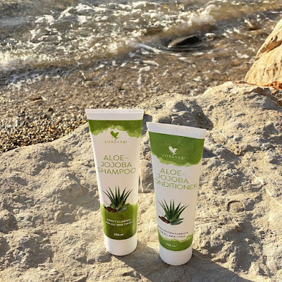 Au coeur de l'Aloe à Saint-Pierre-les-Étieux
