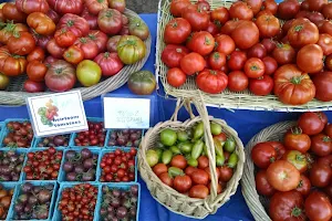 FOOD for Lane County Youth Farm image