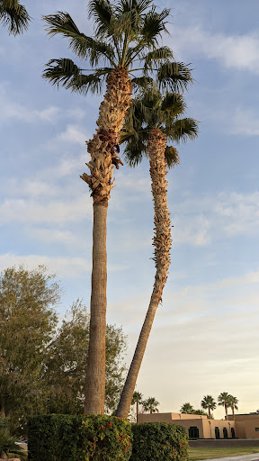 Cemetery «Palm Northwest Mortuary & Cemetery», reviews and photos, 6701 N Jones Blvd, Las Vegas, NV 89131, USA