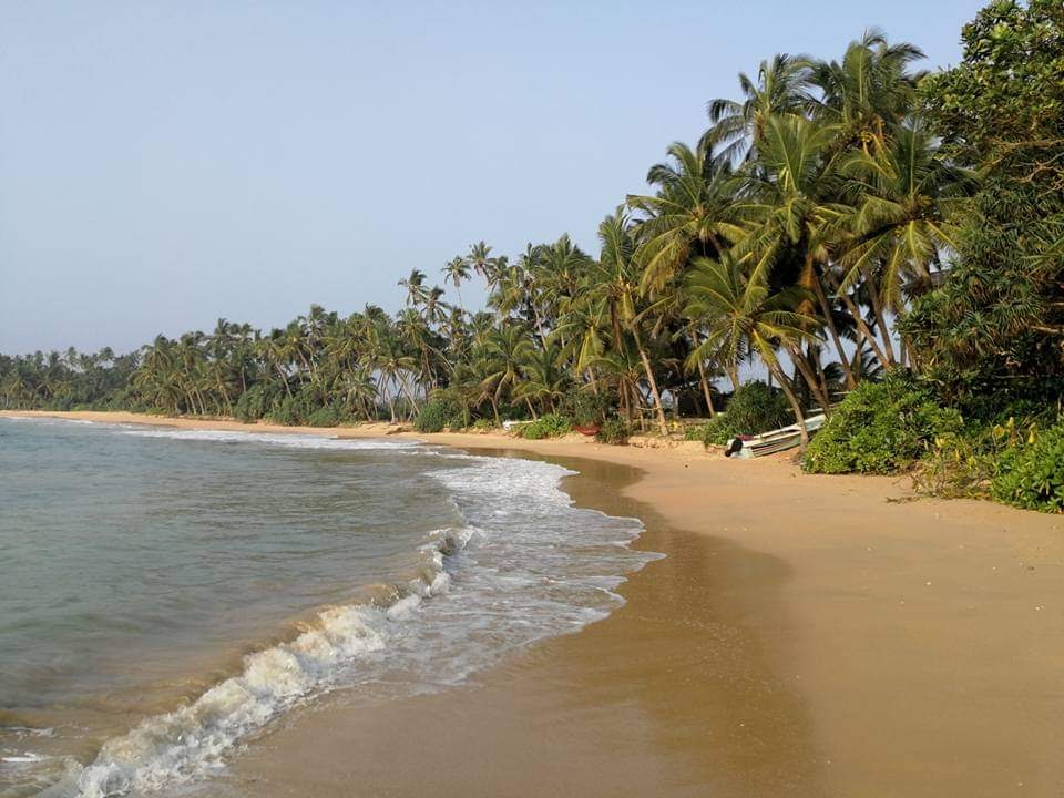 Foto de Maha Induruwa Beach - lugar popular entre os apreciadores de relaxamento