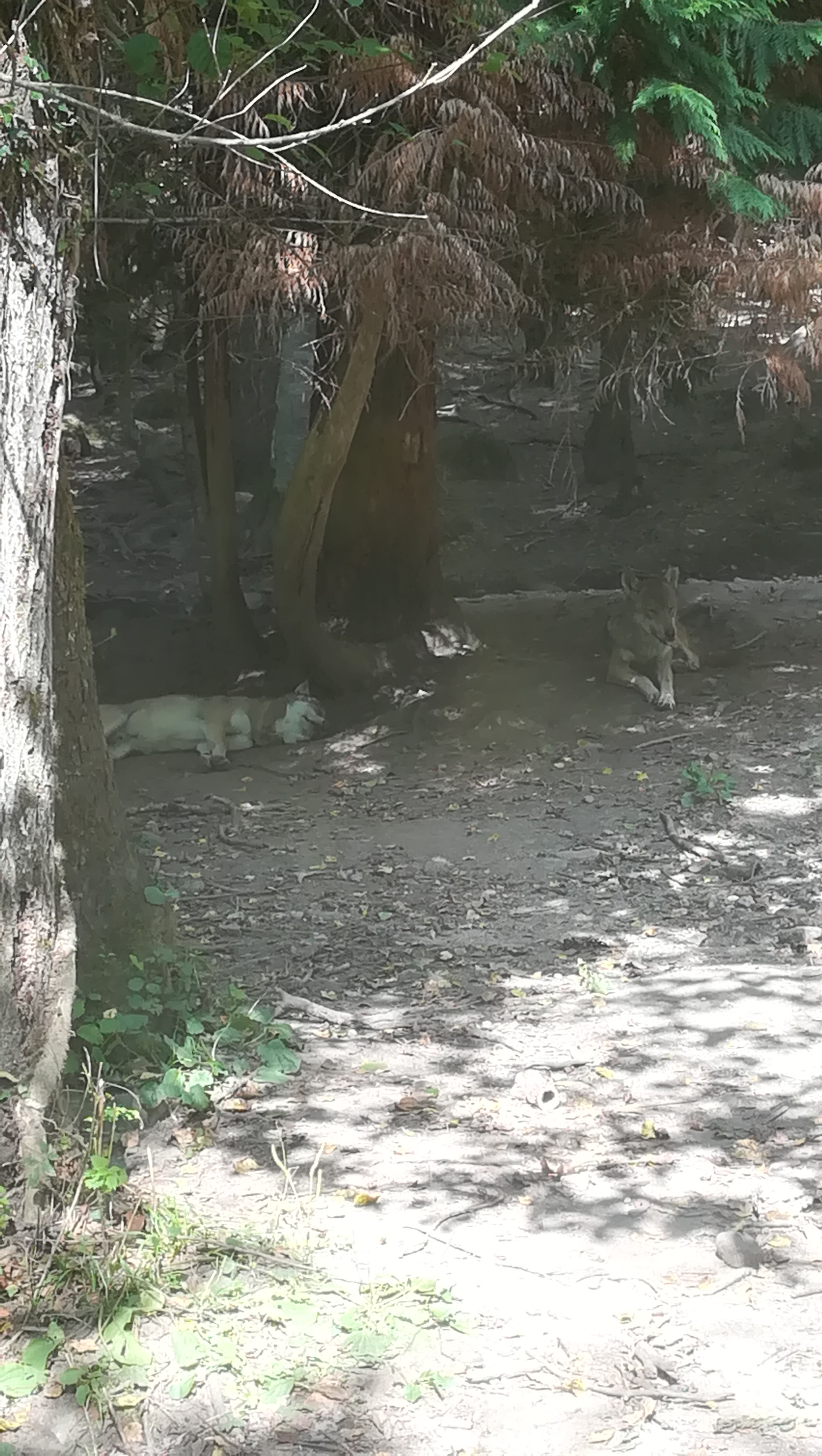 Photo n° 4 de l'avis de Melanie.a fait le 23/08/2018 à 08:47