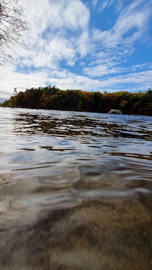 Moores Falls Conservation Area - photo 33