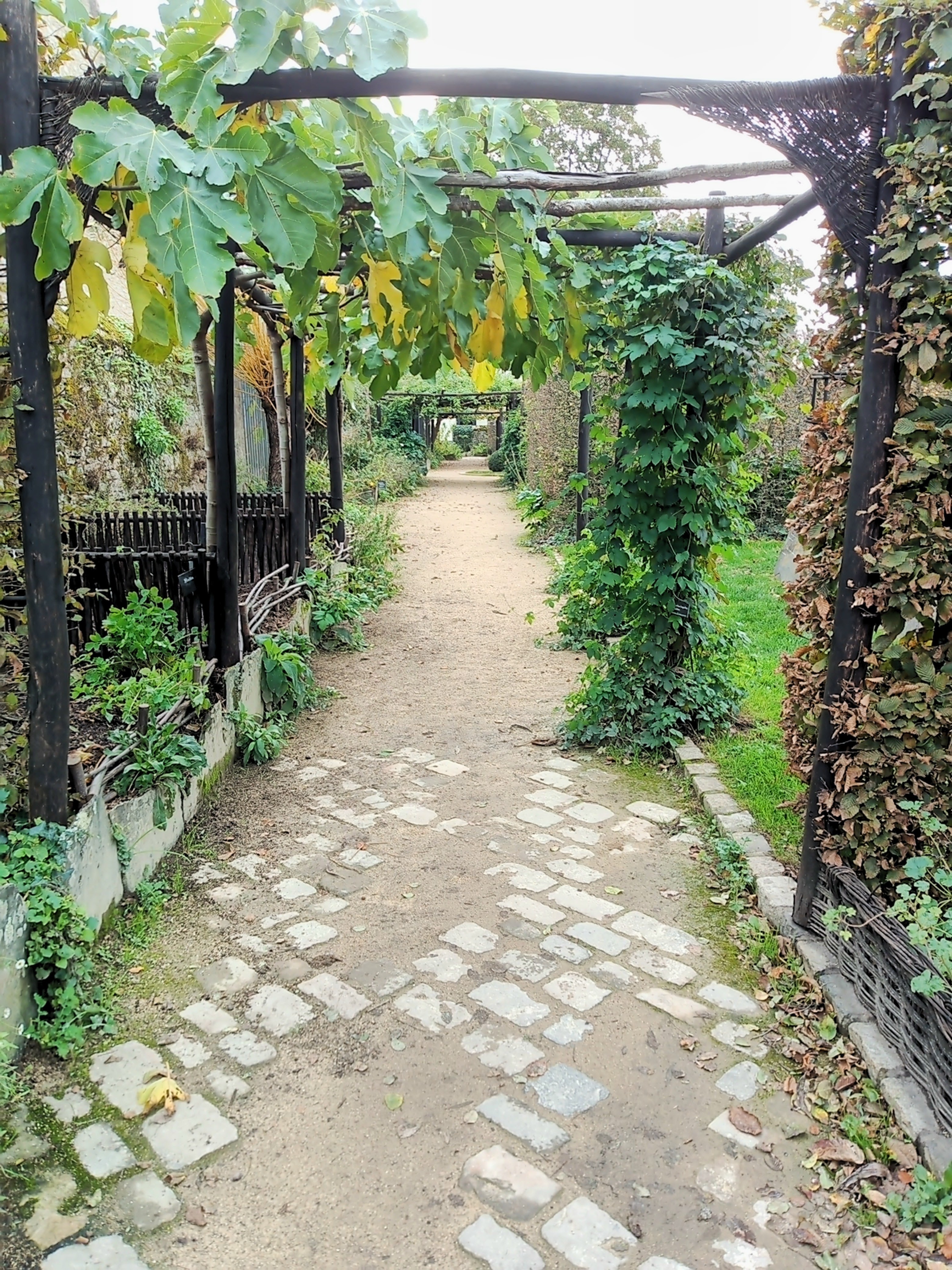 Photo n° 1 de l'avis de florence.o fait le 02/05/2022 à 14:24