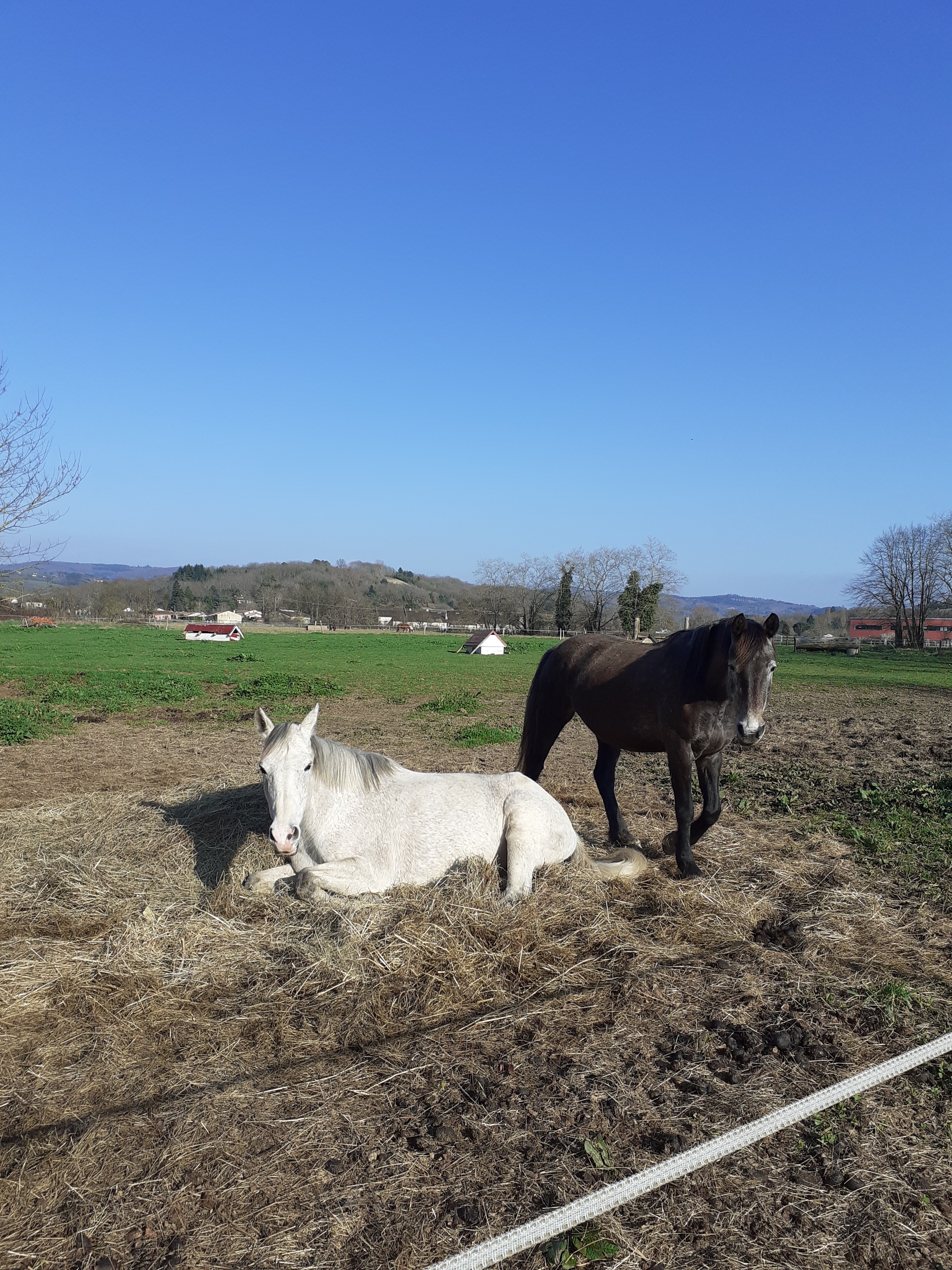 Photo n° 3 de l'avis de Marc.o fait le 23/04/2023 à 13:11