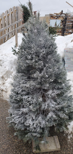 Garden Center «Royal Victorian Garden Center», reviews and photos, 10911 State Rd, Cleveland, OH 44133, USA